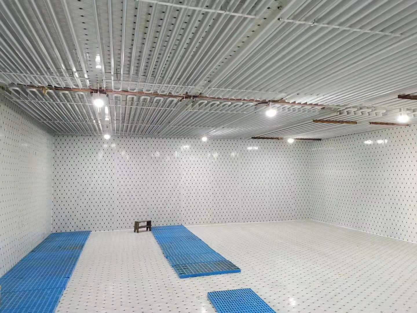 冷(lěng)凍庫
